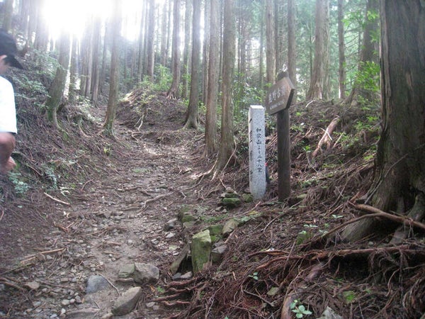 【奈良県内発】 語り部ガイドと歩く 世界遺産 熊野古道中辺路ウォーク2